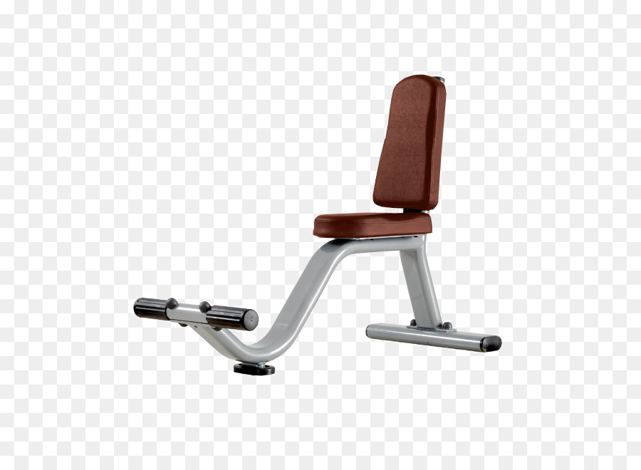 Banc De Gymnastique，Exercice PNG