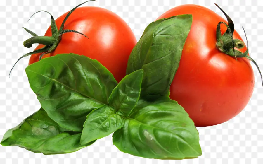 Tomates Et Basilic，Légumes PNG