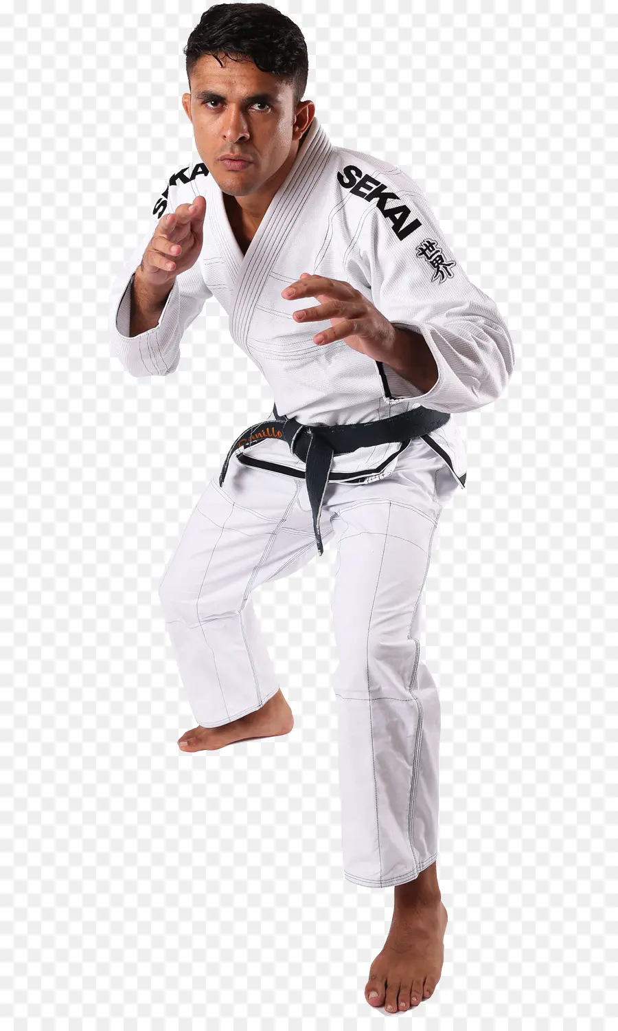 Homme En Judo Gi，Ceinture Noire PNG