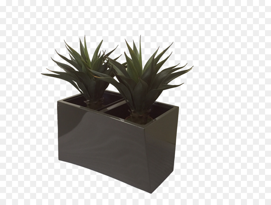 Allsorted Des Dessins De Meubles，Flowerpot PNG