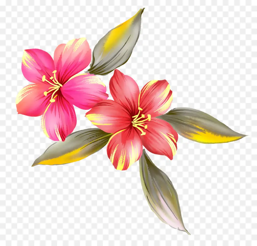 Fleur，Peinture PNG