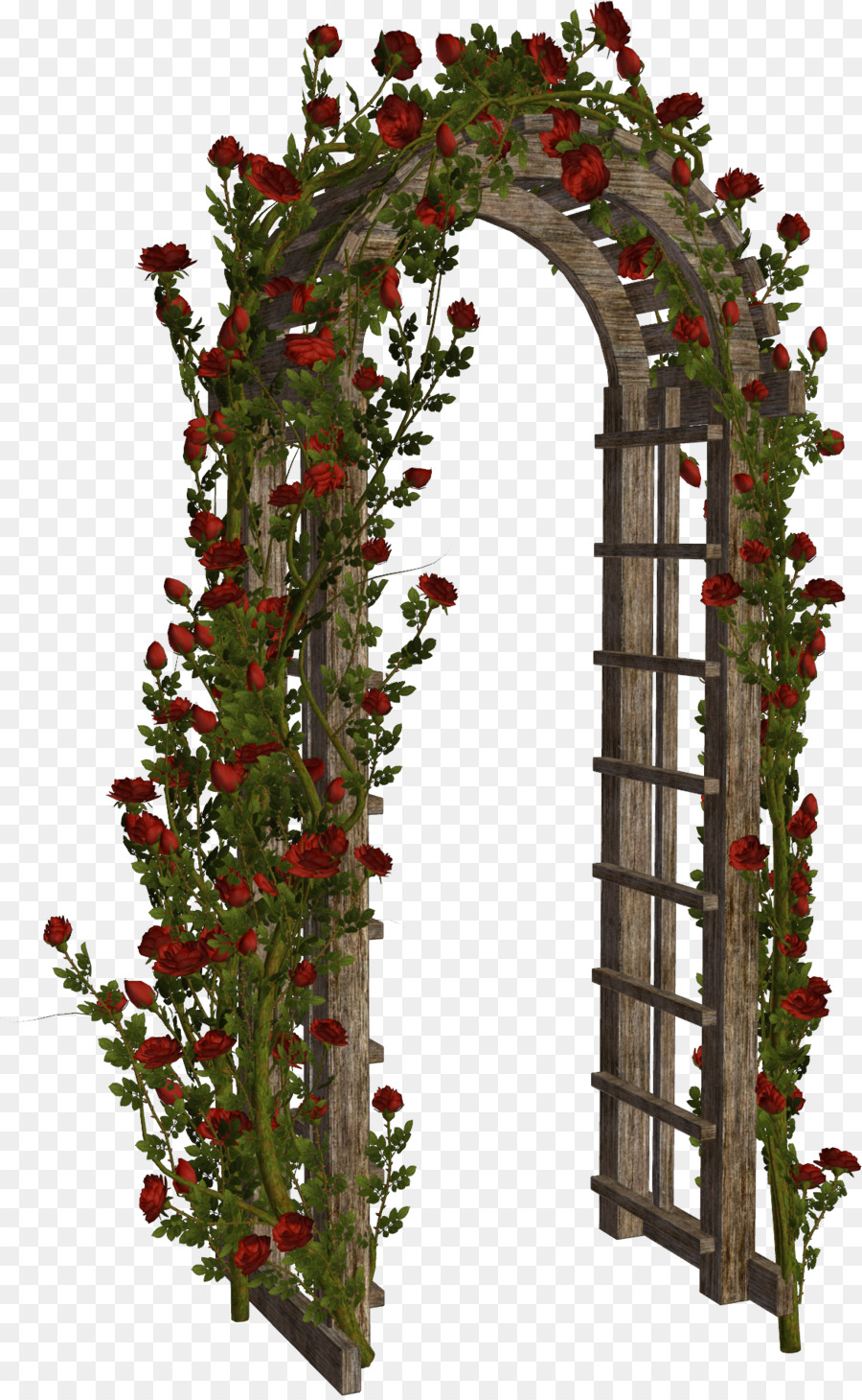 Arche De Rose，Fleurs PNG