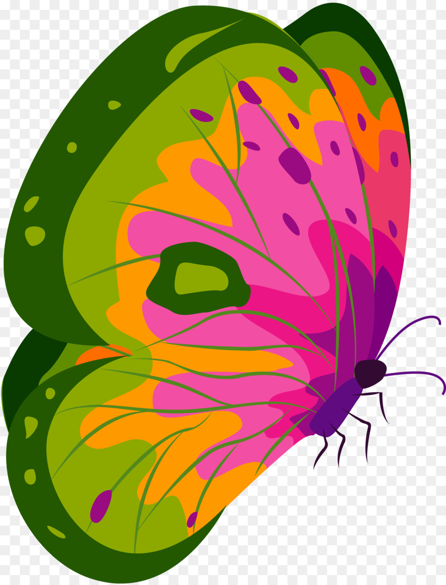 Papillon Coloré，Ailes PNG