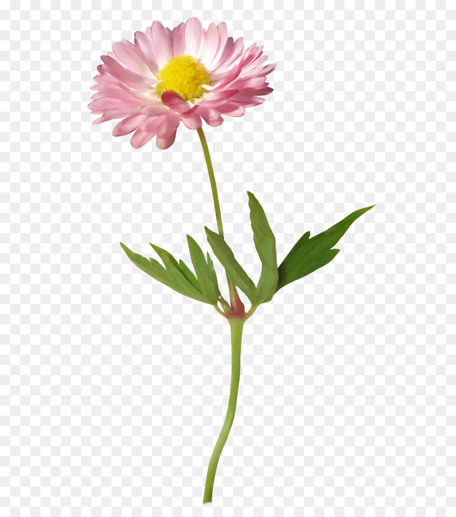Fleur，Format Gerber PNG