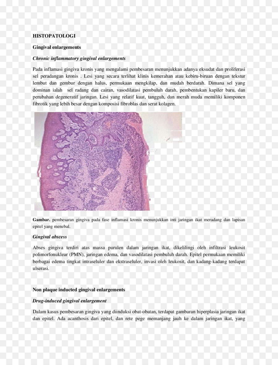 L Inflammation，Prolifération PNG