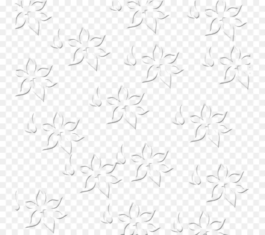 Fleurs，Blanc PNG