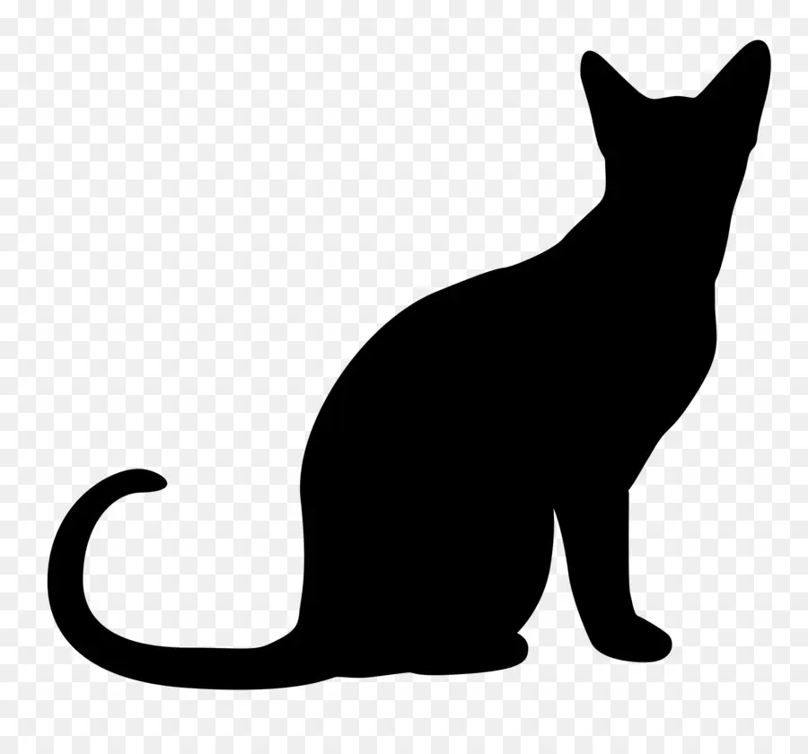 Chat，Chat Noir PNG