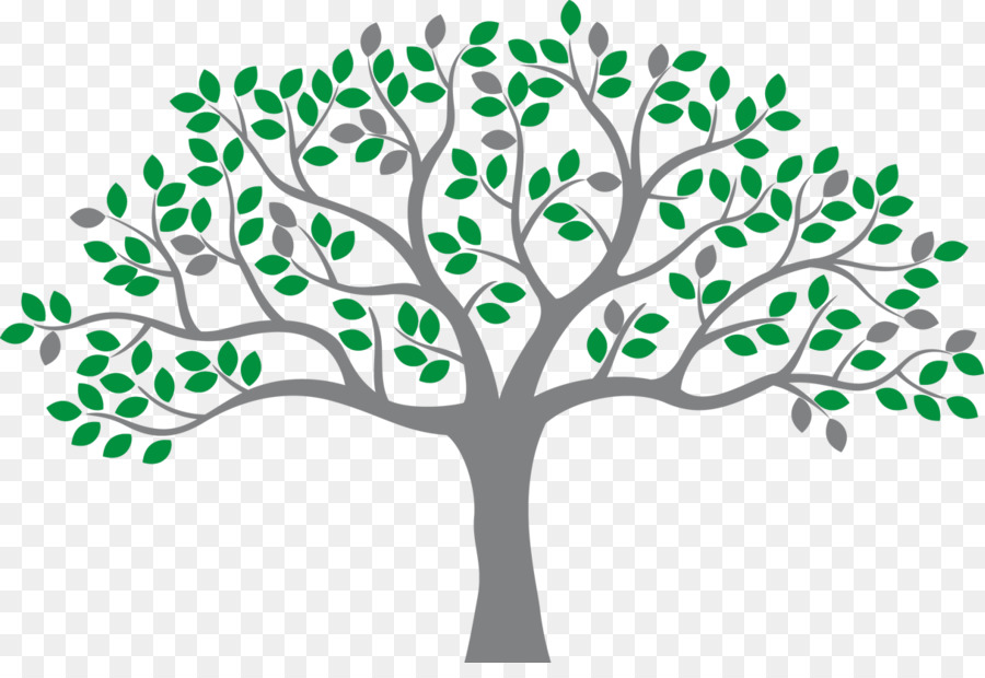 Arbre Vert，Feuilles PNG