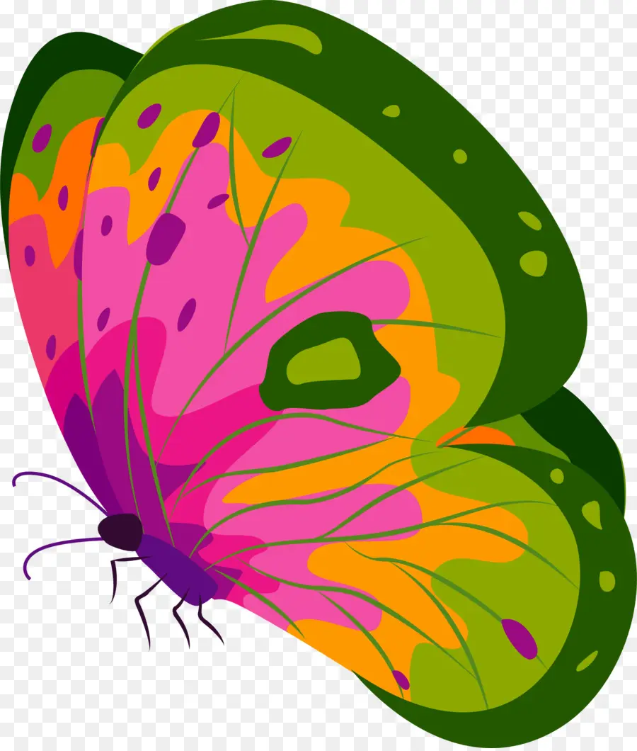 Papillon Coloré，Ailes PNG