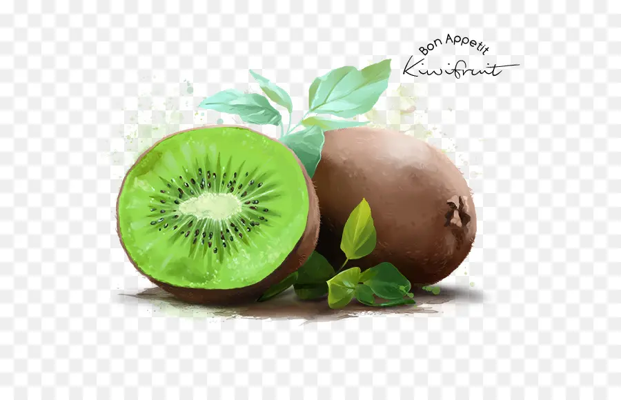 Kiwi，Vert PNG