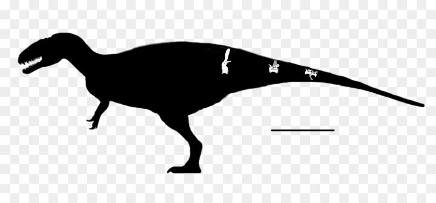 Silhouette De Dinosaure，Reptile PNG