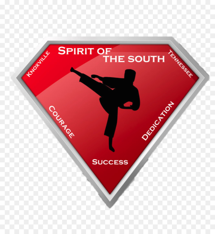 Esprit Du Sud De Taekwondo，Taekwondo PNG