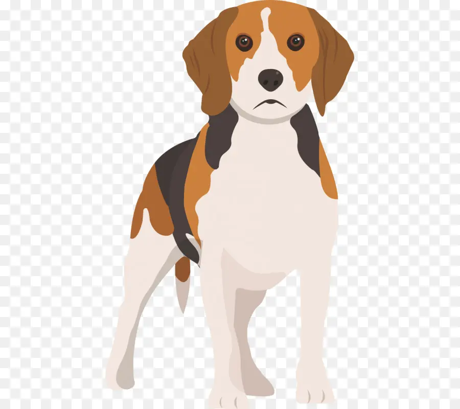 Chiot，Chien PNG