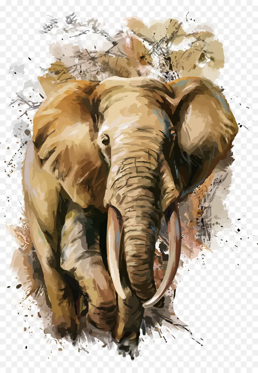 Peinture à L Aquarelle，L éléphant PNG