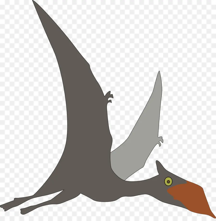 Sinopterus，Dinosaure PNG