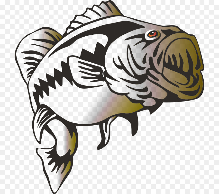 Poisson，Eau PNG