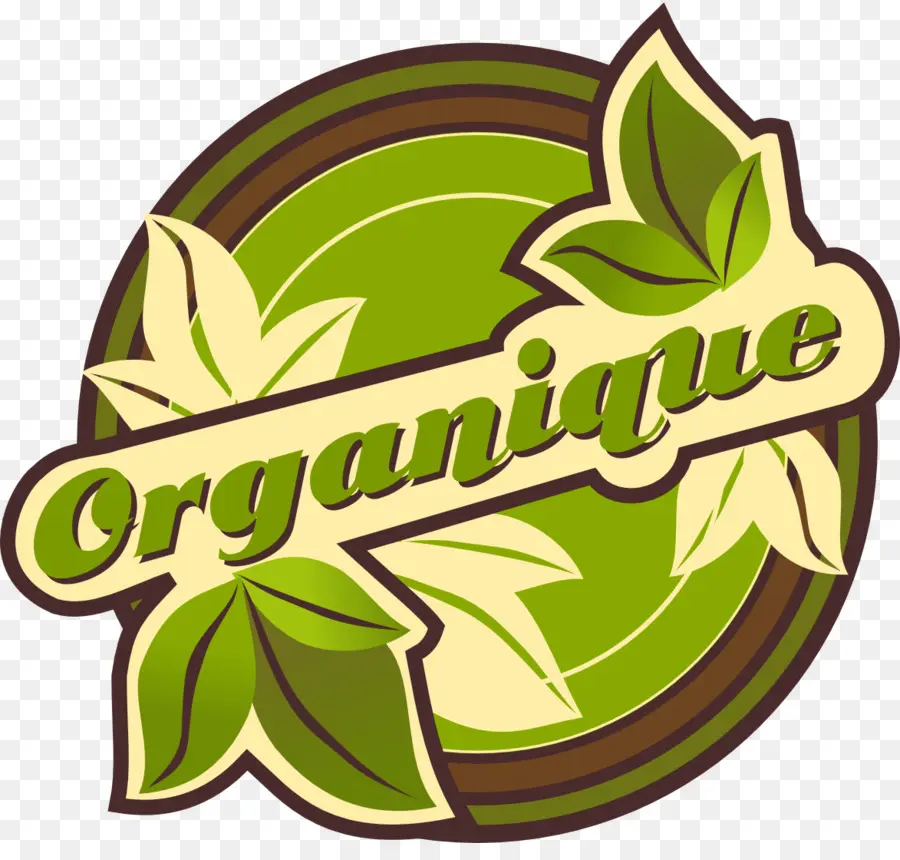 Logo，La Floraison De La Plante PNG