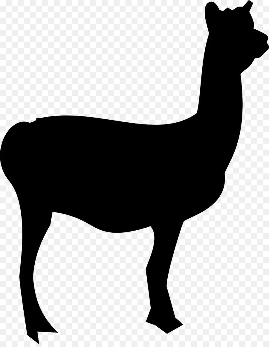 Silhouette De Lama，Contour PNG