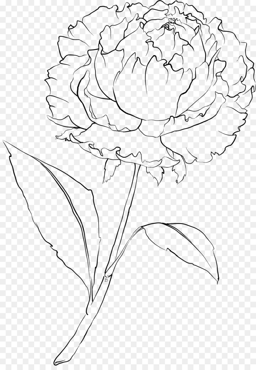 Dessin Pivoine Lart En Ligne Png Dessin Pivoine Lart