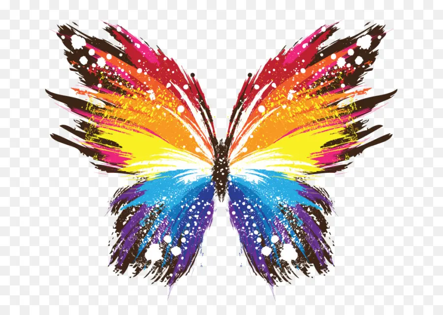 Papillon，Arc En Ciel PNG