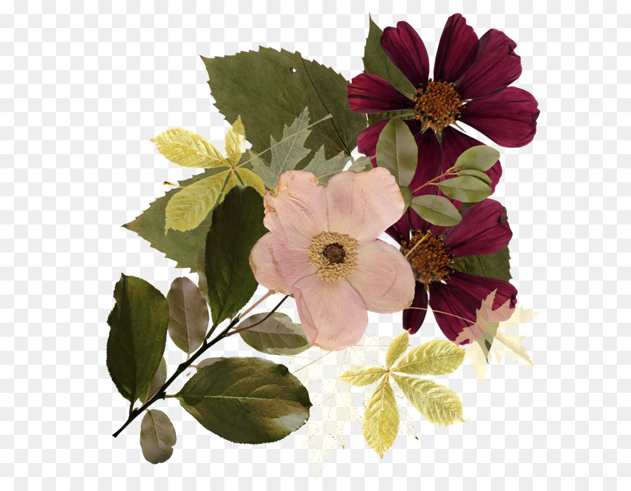 Fleur，Postscript Encapsulé PNG