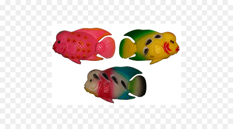 Flowerhorn Cichlidés，Les Poissons PNG