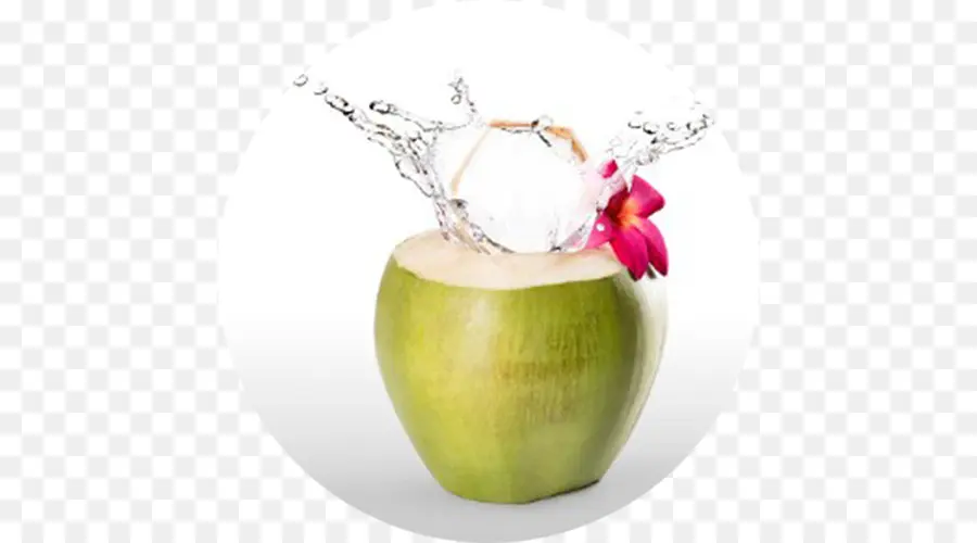 Noix De Coco，Eau PNG