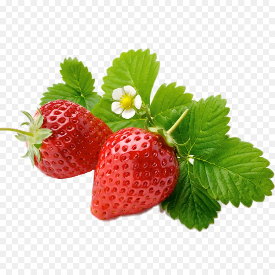 Fraises，Rouge PNG