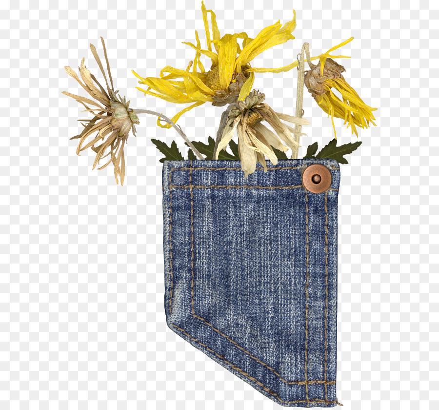 Jeans，Denim PNG