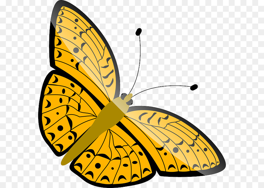 Papillon Jaune，Ailes PNG