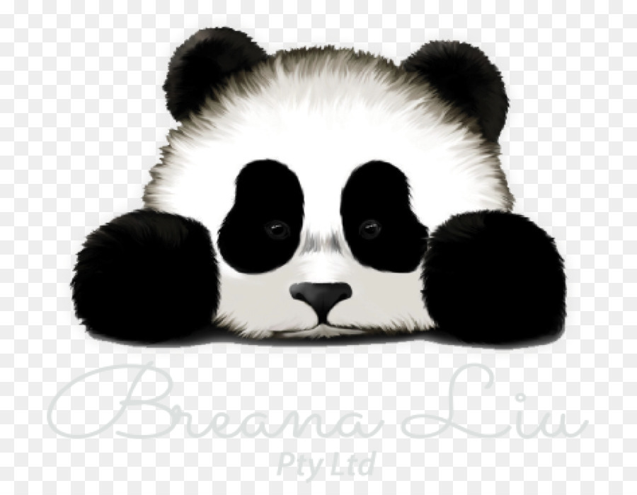 Panda，Ours PNG