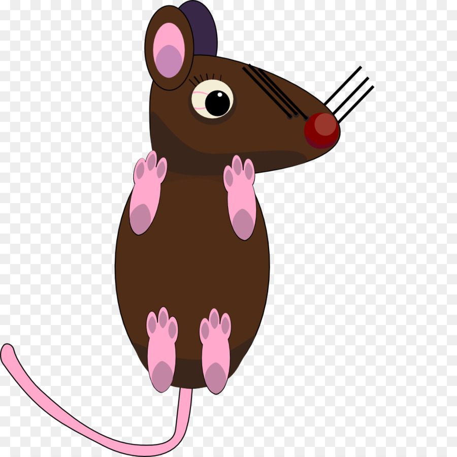 Rat De Dessin Animé，Souris PNG