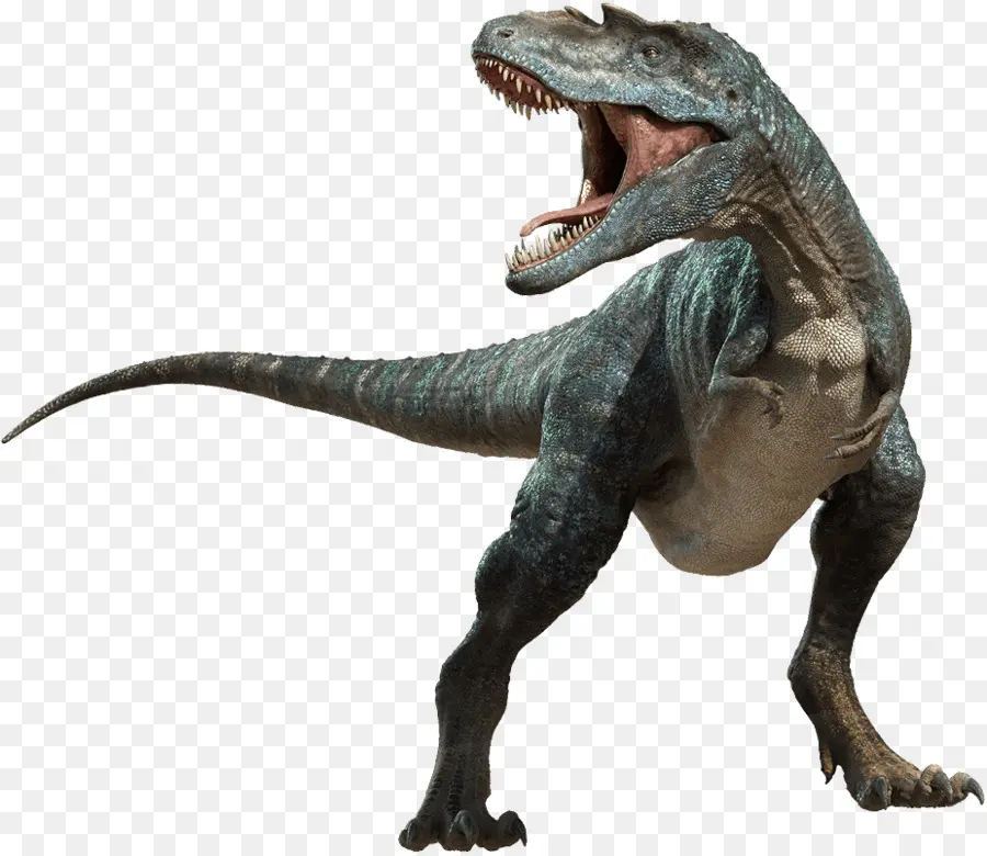 Le Tyrannosaure，Dinosaure PNG