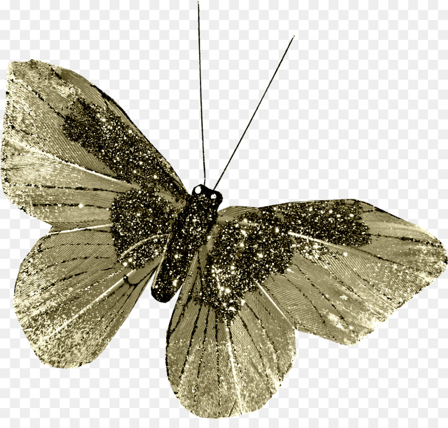 Papillon Jaune，Insecte PNG