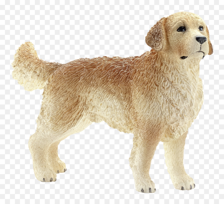 Chien，Animal De Compagnie PNG