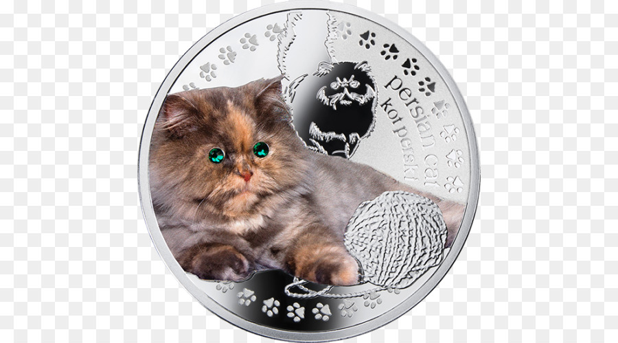 Chat Persan，Pièce De Monnaie PNG