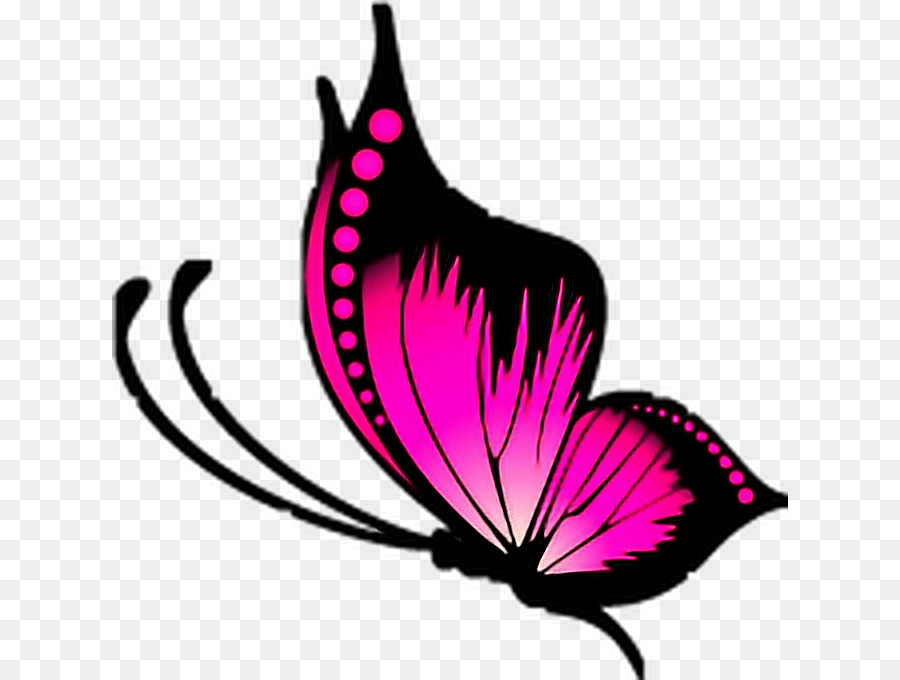 Gratuit，Papillon PNG