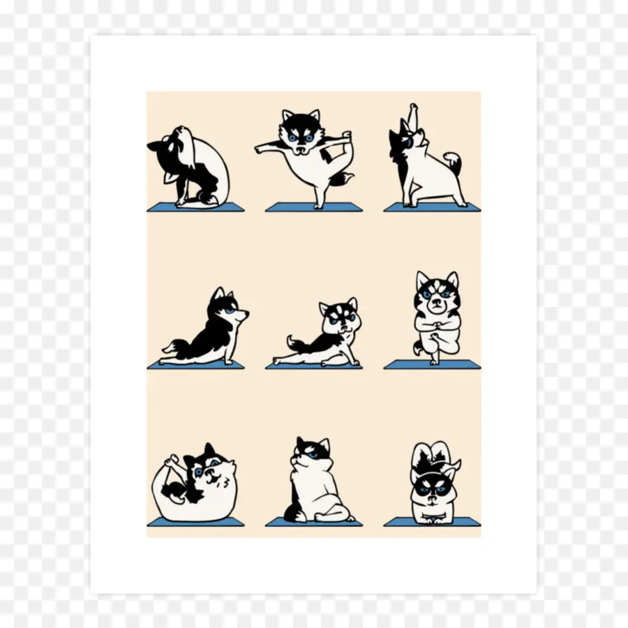 Poses De Yoga Pour Chiens，Chiens PNG