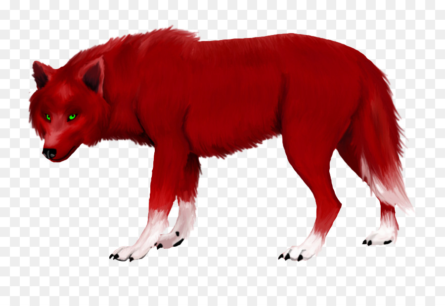 Renard Rouge，Loup Rouge PNG