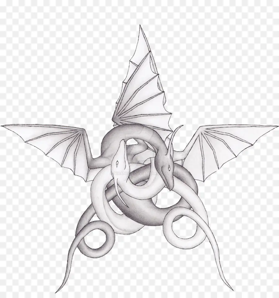 Dragon，Ailes PNG