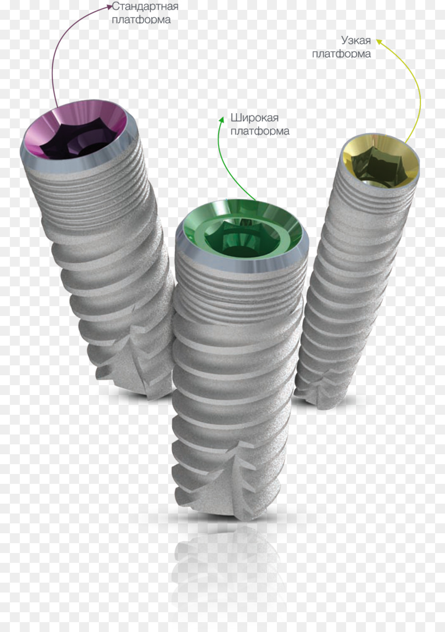 Implants Dentaires，Vis PNG