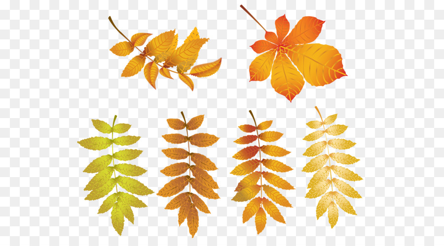 Feuilles，Automne PNG