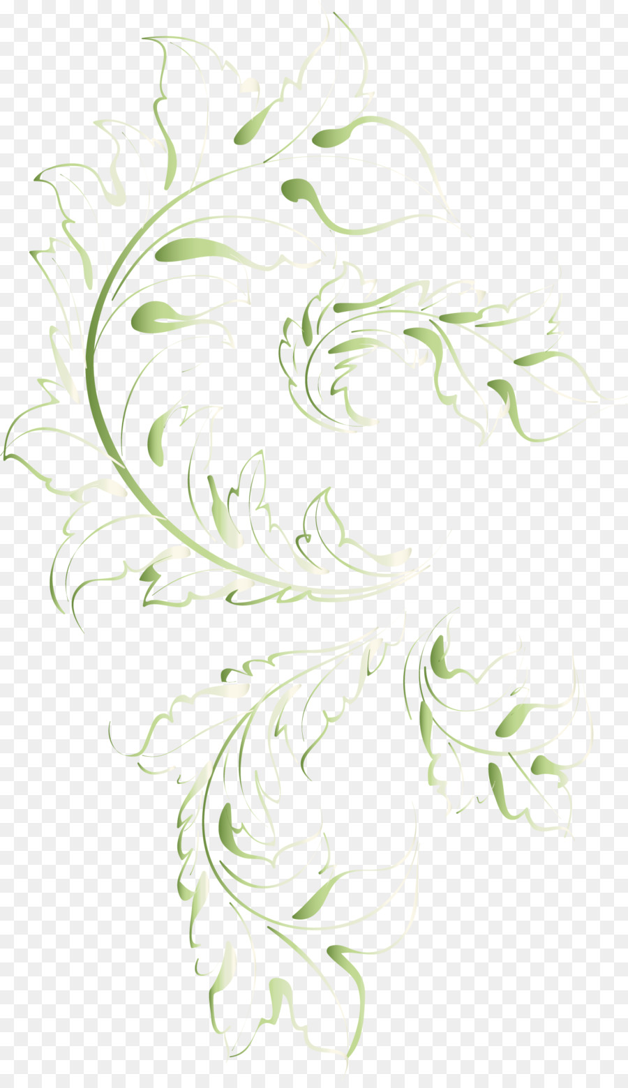 Design Floral，Arts Visuels PNG