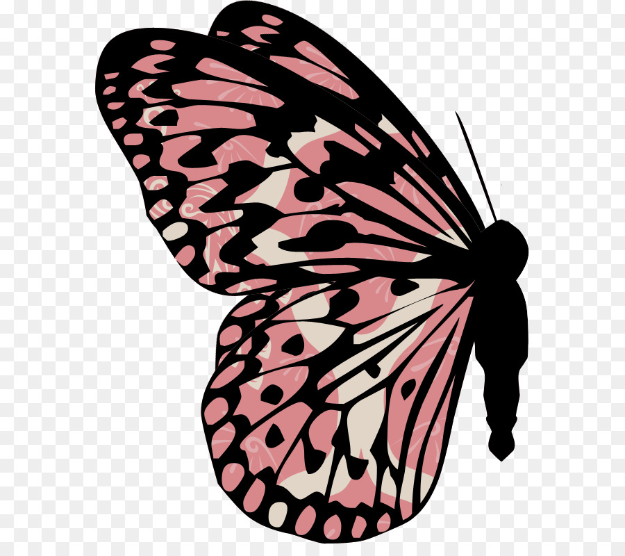 Papillon，Animation PNG