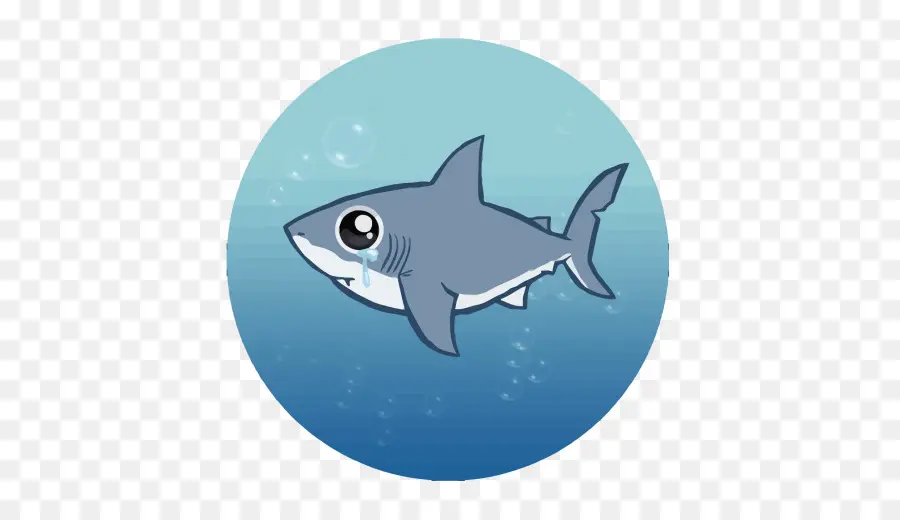 Requin Triste，Dessin Animé PNG