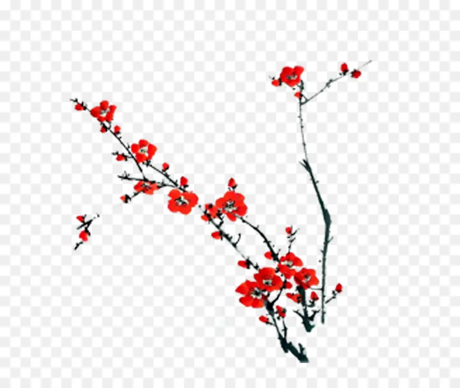 Branche De Fleurs，Fleurir PNG