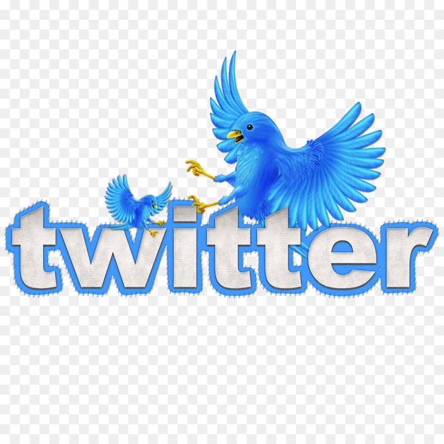 Logo Twitter，Réseaux Sociaux PNG