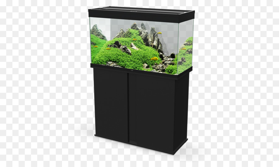 Aquarium，Les Aquariums PNG