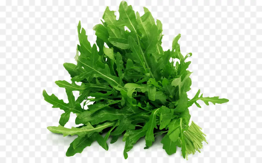 Roquette，Légumes Verts PNG