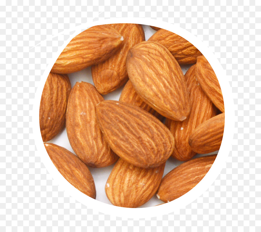 Amandes，Noix PNG